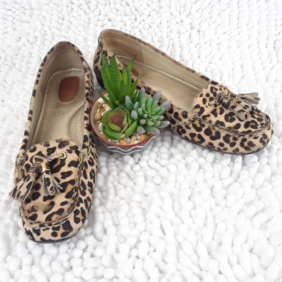 leopard sperry loafers